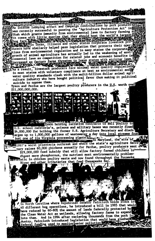 e Tntcase Lobbylng effort aign Conte but lons by por) (ms recently successtul  b  i possing the "Agriculture Protection Act" inf e ehteh ycants. rmunity fron environmental lavs to factory farning it comen_with 1igtle swpeise that they should hos  ects their oper:&  e SRR  e M  AL ulr, Livestock producers Lace mintaal  in nost states vith voluntary camplisnce dt best as envic  ntesquality stendards clash vith the multi-billion dolls iltuce industey o have bough  %00 and Perdue are the lacgest poultry producers in the U.S. vort 5  bolding Tucrative contrac  oy x ‘peisons ani mil tacy bases s cecently £ Bl 4,000,000 for bribing the former U. eocly Lo  it bt s el ol  g 7 Haiyland, the”sife’of, B eter o oucbreax and vhere the state’s ageiculture Setr o Faioss 60,000 chickens snmually for Pecdue, poultcy producecs vant ¥R | T191000,000 feed subsidy that will allow factory farmed chickens to———1 Gigest more phosphor  ous, the nutrient most environnentally problem atic. in chicken poultry’  wvaste and now found theoughout. the Pocomoke Eributaries that v  PR  40 different hog operations,  Jrave reduced by 60-801 the amount.  e Clean Watex Act as wetlands, 8lloving factory fams to expend|  into them.  And in 1994 after recteving thousands rom the rcloth introduced 1  pork ind eglst alast  